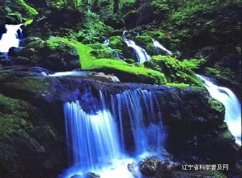起鱼喽!江苏盱眙渔民冬捕起鱼 喜迎新春好“丰”景